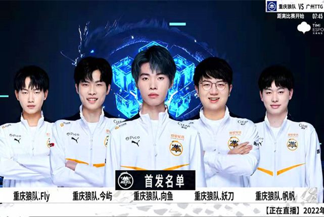 稳定的教练