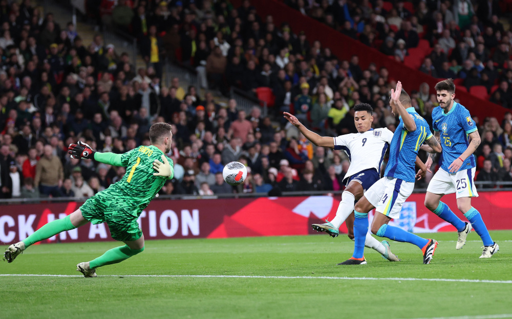 鲜的活力 鲜的活力