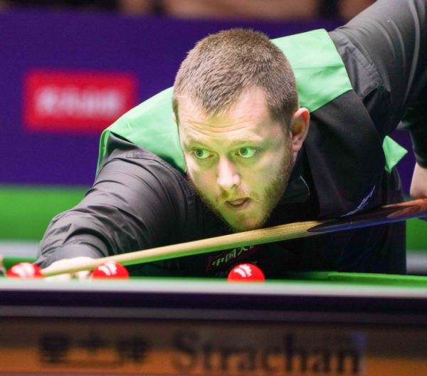 职业球员的 职业球员的